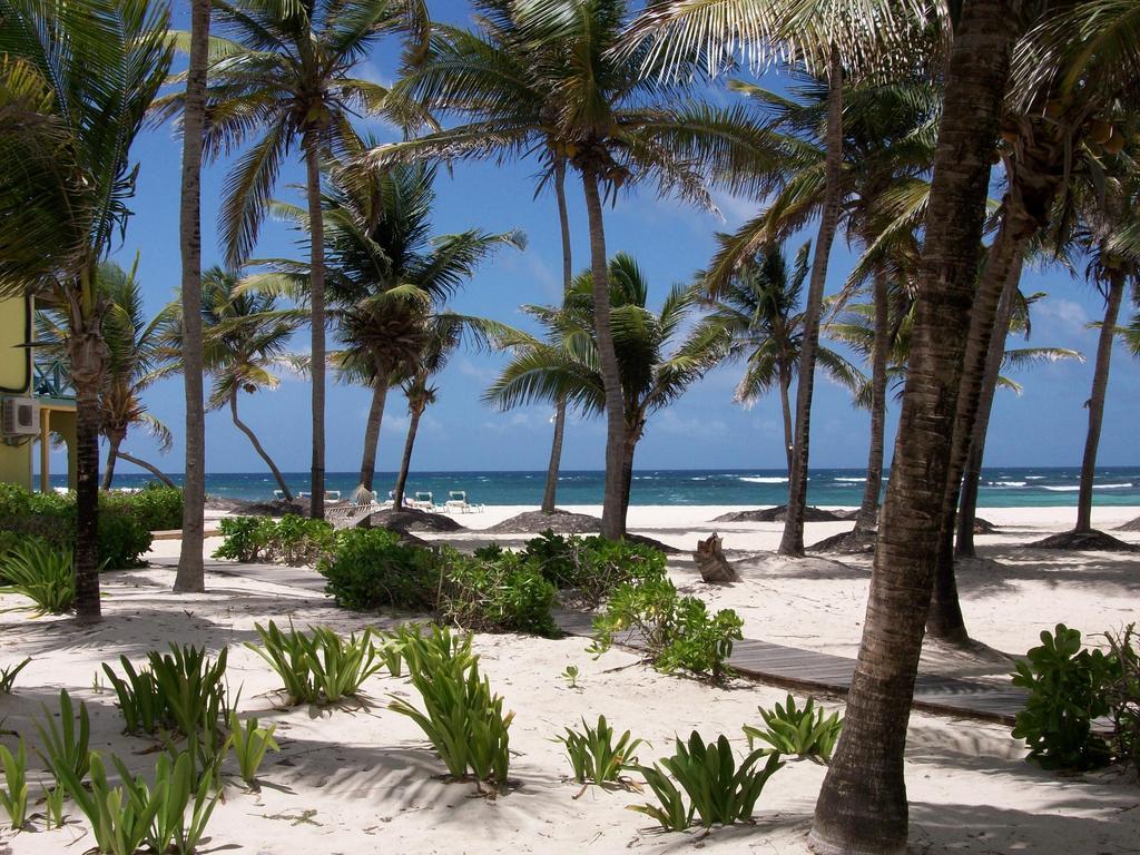 Hibiscus Beach Resort Christiansted Kültér fotó